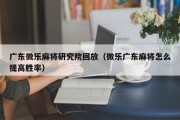 广东微乐麻将研究院回放（微乐广东麻将怎么提高胜率）