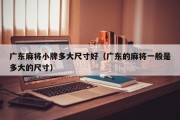 广东麻将小牌多大尺寸好（广东的麻将一般是多大的尺寸）