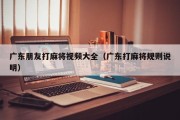 广东朋友打麻将视频大全（广东打麻将规则说明）