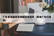 广东爱来麻将花城麻将有挂吗（爱来广东打麻将）