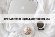 航空小语种招聘（国航小语种招聘结果公示）
