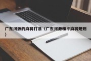 广东河源的麻将打法（广东河源和平麻将规则）