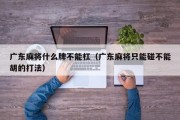 广东麻将什么牌不能杠（广东麻将只能碰不能胡的打法）
