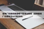 雀神广东麻将里面哪个是潮汕麻将（雀神麻将广东麻将怎么打胜率高）