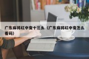 广东麻将红中变十三幺（广东麻将红中变怎么看码）
