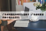 广东麻将翻出白班什么是赖子（广东麻将里面的赖子是什么意思）