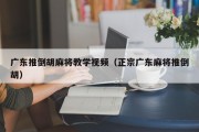 广东推倒胡麻将教学视频（正宗广东麻将推倒胡）
