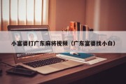 小富婆打广东麻将视频（广东富婆找小白）