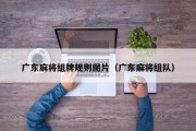 广东麻将组牌规则图片（广东麻将组队）