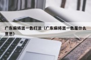 广东麻将混一色打法（广东麻将混一色是什么意思）