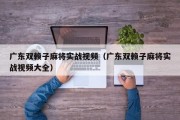 广东双赖子麻将实战视频（广东双赖子麻将实战视频大全）