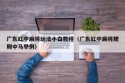 广东红中麻将玩法小白教程（广东红中麻将规则中马举例）