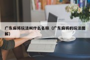 广东麻将玩法叫什么名称（广东麻将的玩法图解）