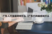 广东人打金麻将叫什么（广东打的麻将叫什么）
