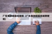 广东推倒胡麻将视频（广东推倒胡麻将胡牌规则）