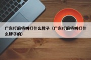 广东打麻将叫打什么牌子（广东打麻将叫打什么牌子的）