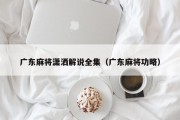 广东麻将潇洒解说全集（广东麻将功略）