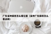 广东雀神麻将怎么看位置（雀神广东麻将怎么看战绩）