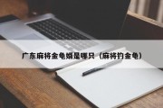 广东麻将金龟婿是哪只（麻将钓金龟）