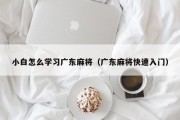 小白怎么学习广东麻将（广东麻将快速入门）