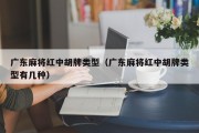 广东麻将红中胡牌类型（广东麻将红中胡牌类型有几种）