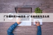 广东麻将抓59啥意思（广东麻将抓鸟怎么抓）