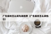 广东麻将怎么调为湖南牌（广东麻将怎么调档位）