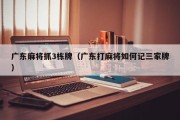 广东麻将抓3栋牌（广东打麻将如何记三家牌）