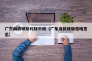 广东麻将硬胡和红中胡（广东麻将硬胡是啥意思）