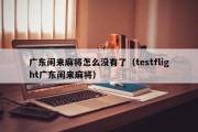 广东闲来麻将怎么没有了（testflight广东闲来麻将）