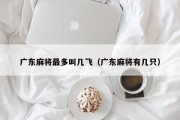 广东麻将最多叫几飞（广东麻将有几只）