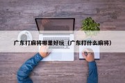 广东打麻将哪里好玩（广东打什么麻将）